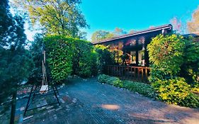 De Jungle Chalet Bospark IJsselheide Hattemerbroek Veluwe