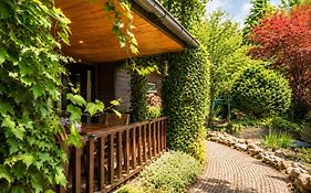 De Jungle Chalet Bospark IJsselheide Hattemerbroek Veluwe